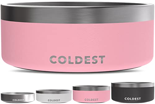 Coldest Dog Bowl (Search for Availability Online or In Stores) image 0